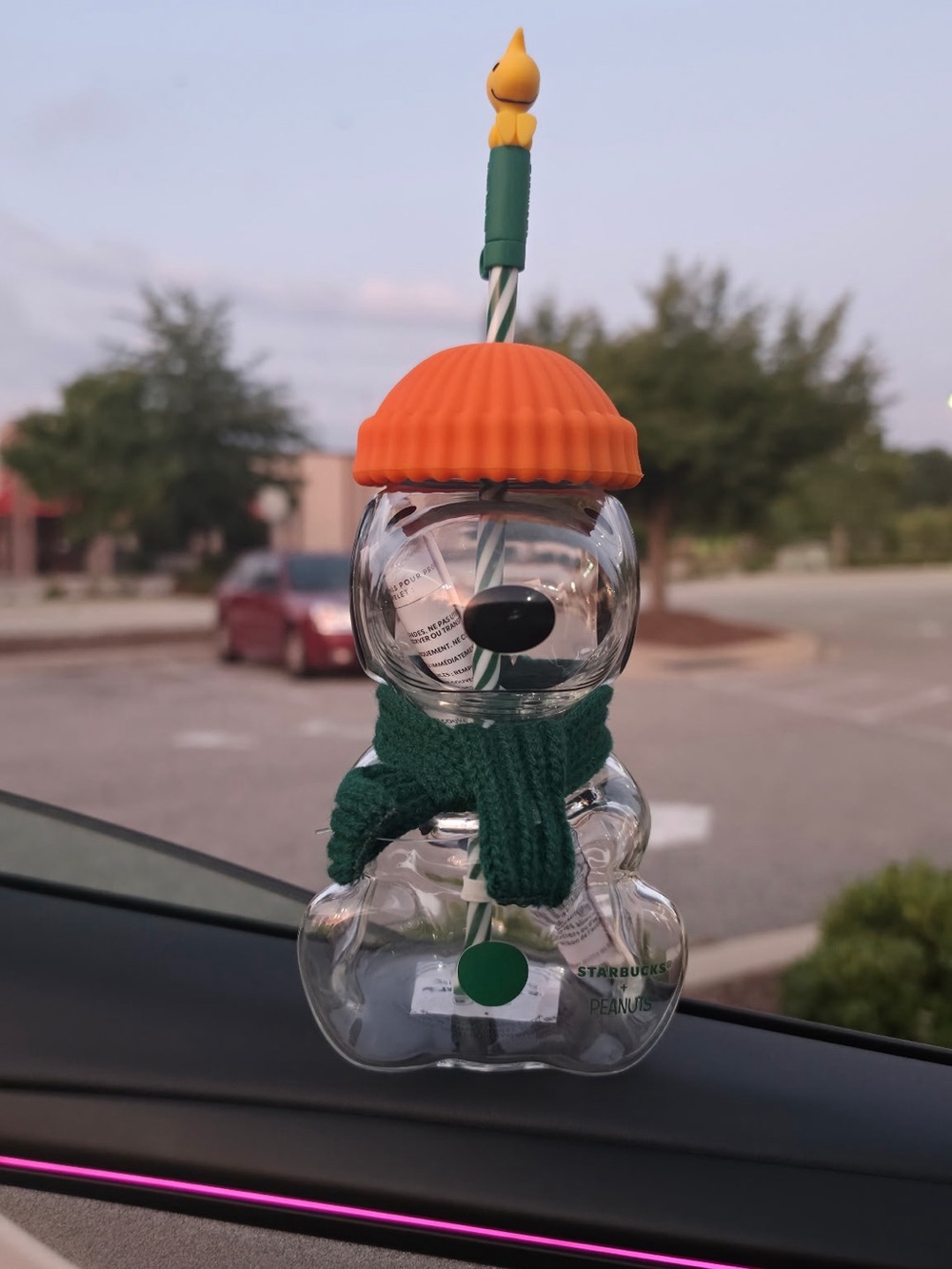 Starbucks Peanuts Snoopy Glass Cup 20oz